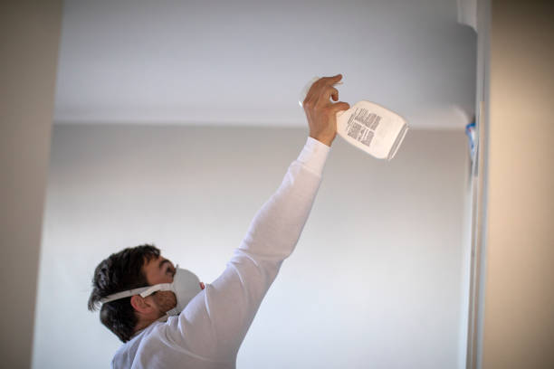 Best Professional Mold Removal  in Hayneville, AL