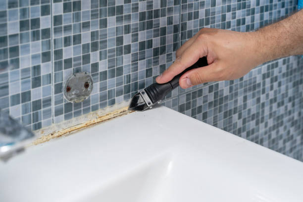 Best Home Mold Removal  in Hayneville, AL