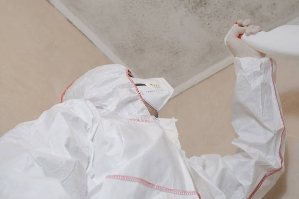 Reliable Hayneville, AL Mold Removal Solutions